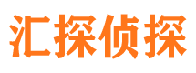 盐源市调查公司